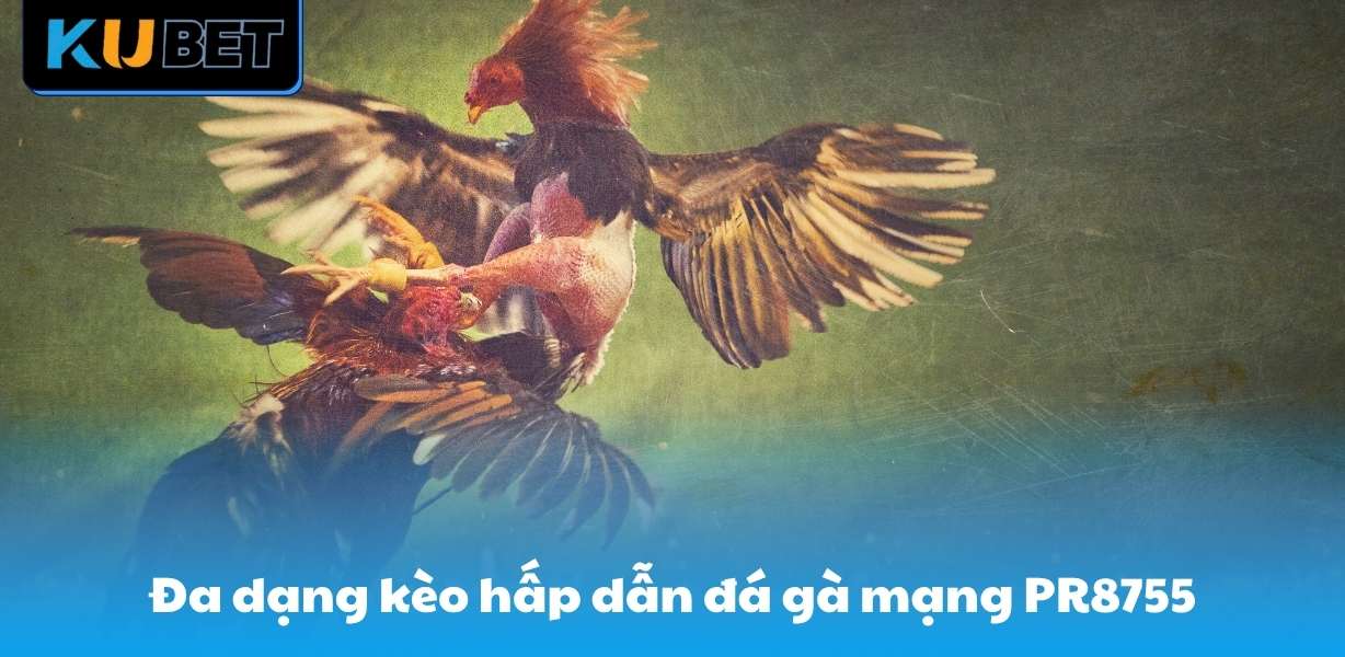Đa dạng kèo cược hấp dẫn chỉ có tại đá gà mạng PR8755