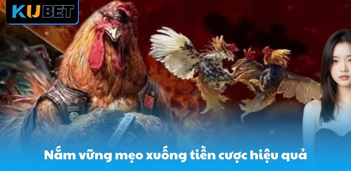 Nắm vững mẹo xuống tiền cược hiệu quả