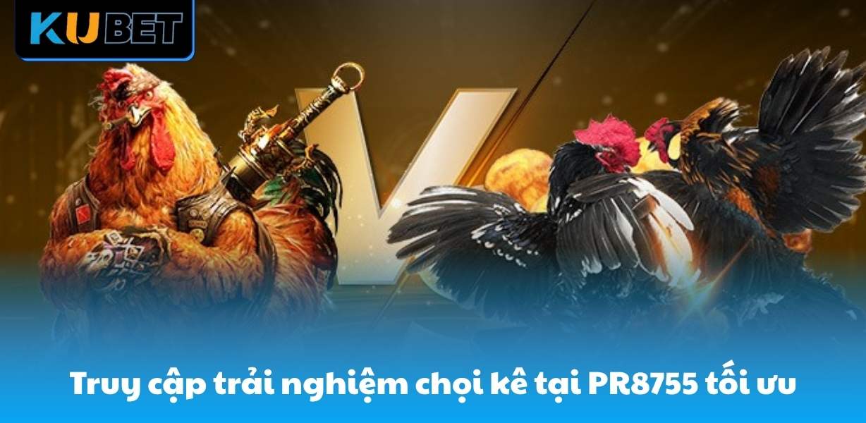 Truy cập trải nghiệm chọi kê tại PR8755 tối ưu